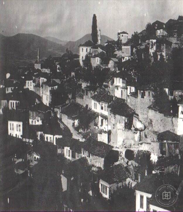 Soma