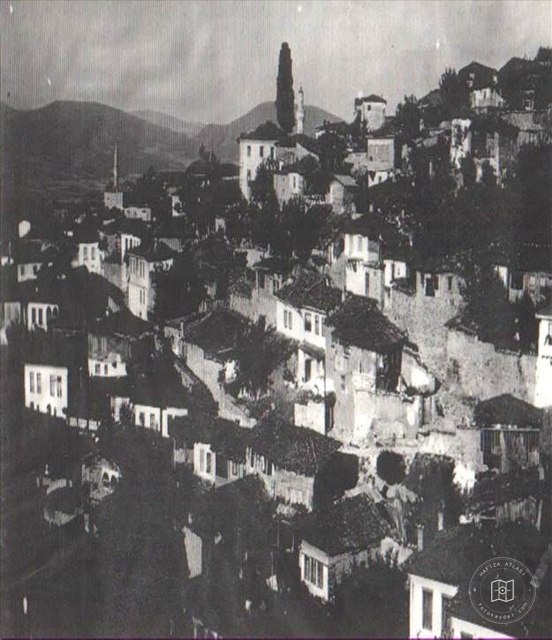 Soma