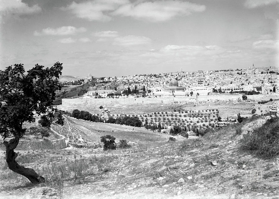 Kudüs Şehri Görünümü / 1940