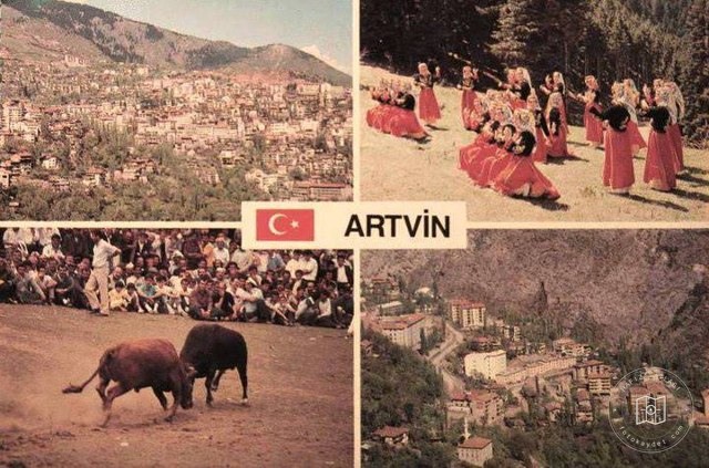 Artvin Postcard