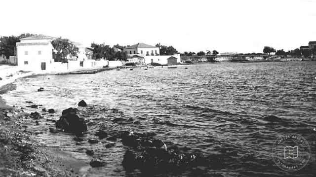 Fountain / 1950s
