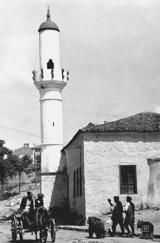 A Mosque in Varna