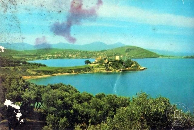 Kusadasi Pigeon