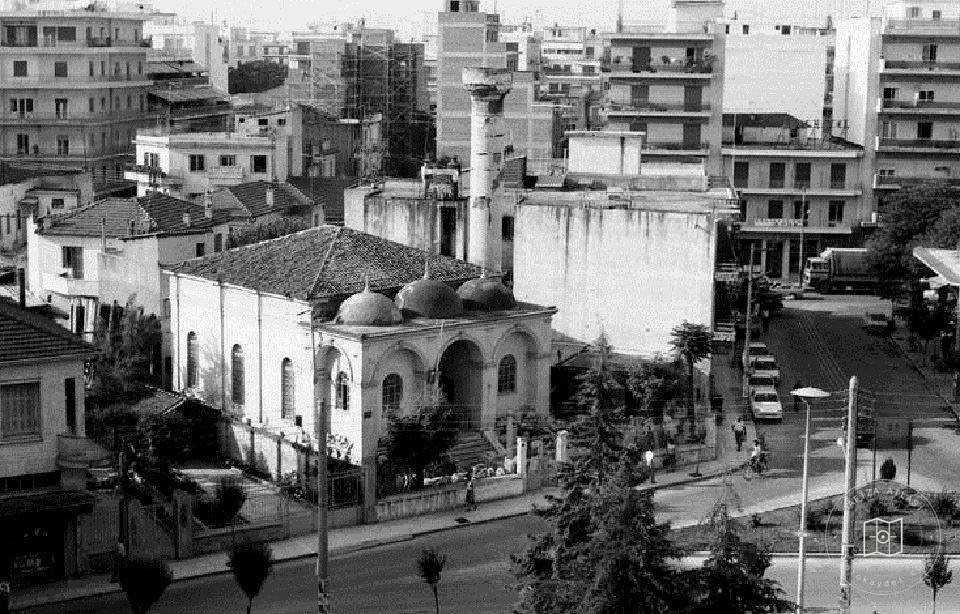 Larissa Newcamii / 1978