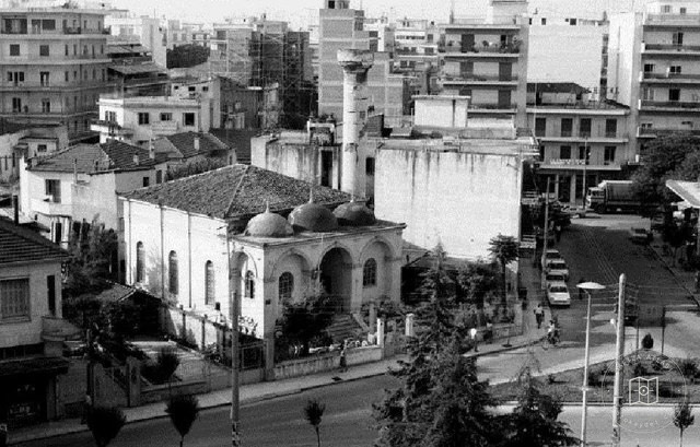 Larissa Newcamii / 1978