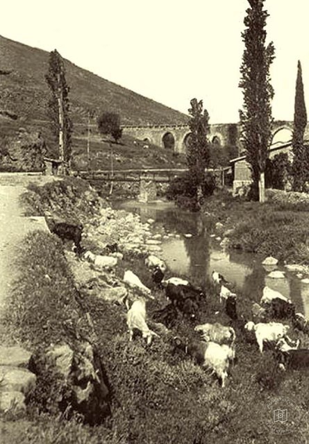 Izmir Vezir Bridge