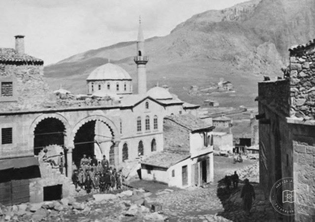 Şebinkarahisar / 1917