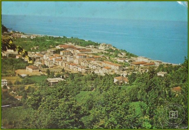 Arhavi
