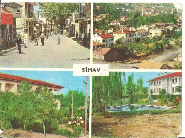 Simav Card