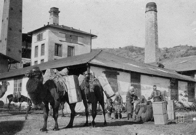 Söke Liquorice Factory