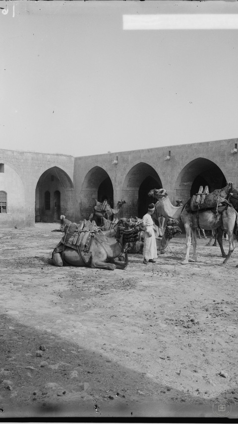 Aleppo (Haleb) and environs. Caravansary