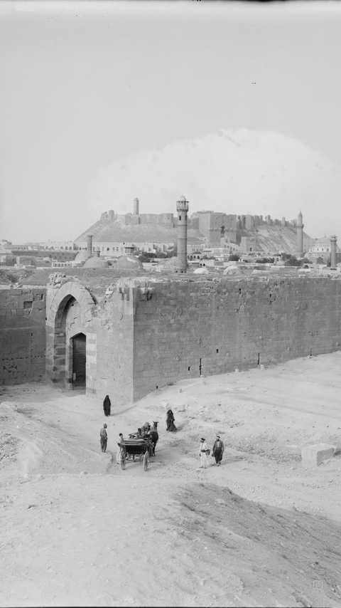 The citadel (castle), Aleppo