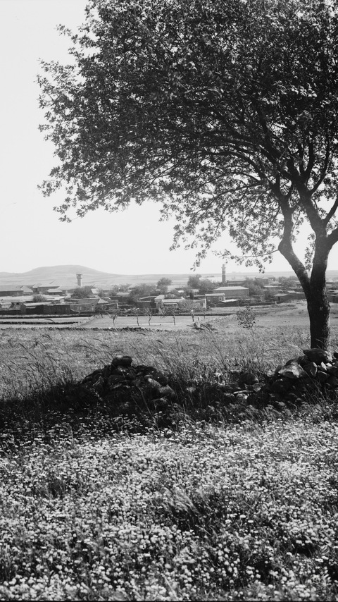 Mount Hermon and vicinity. Village of Kuneitra. Near Hermon on Galilee-Damascus road