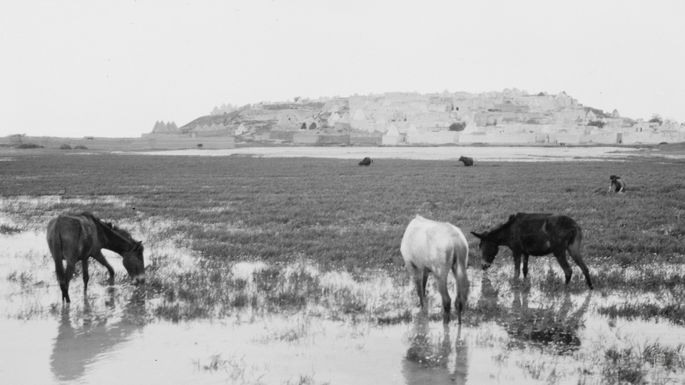 Palmyra, May 1929