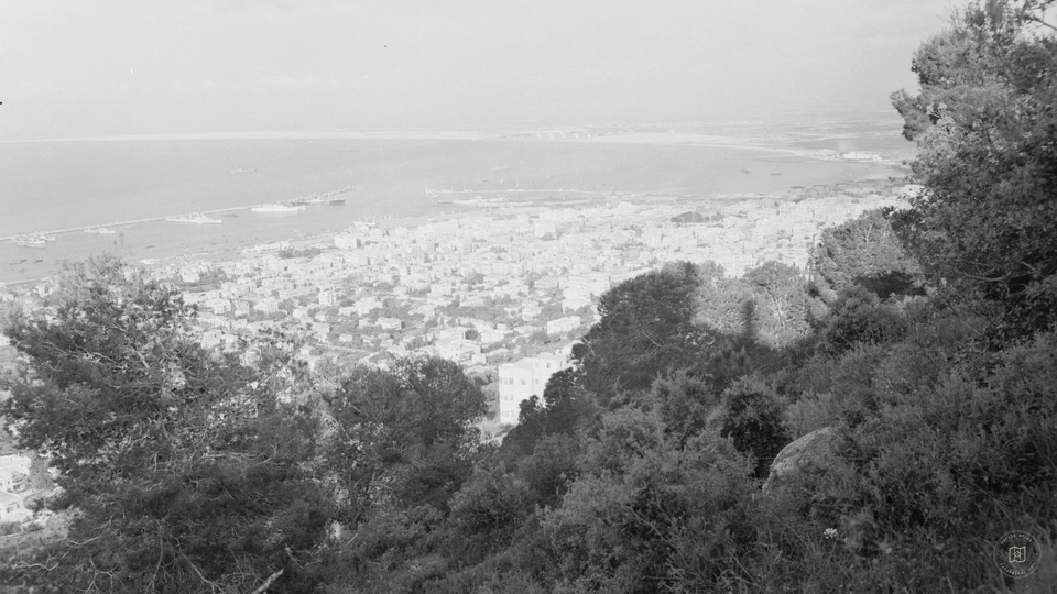 Haifa